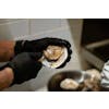 Hand with black gloves using a knife to scoop/shuck an oyster