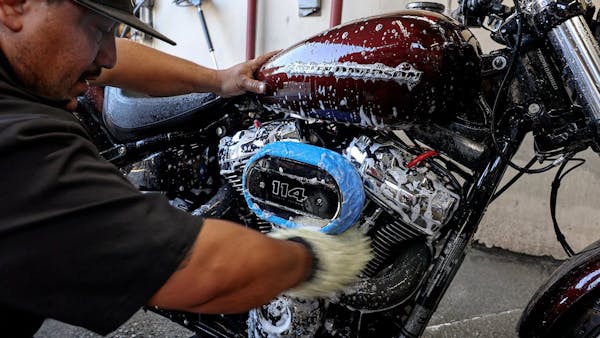 A man bending down & cleaning a Harley Davidson motorcycle with a sponge.