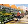 Woman wearing a mask & orange apron watering flowers outside of Home Depot